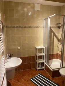 a bathroom with a sink and a shower and a toilet at Ferienwohnung am Holzwurm in Riesa