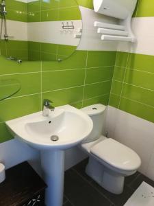 ein grünes Bad mit einem Waschbecken und einem WC in der Unterkunft Appartement au calme in Saint-Maurice-de-Gourdans
