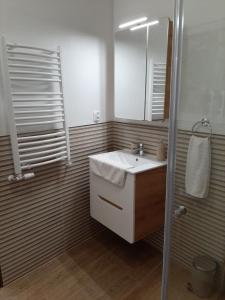 een badkamer met een wastafel en een douche met een spiegel bij Drzewna Apartamenty-Drzewna in Zielona Góra