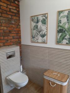 uma casa de banho com WC e duas fotografias na parede em Drzewna Apartamenty-Drzewna em Zielona Góra