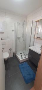 a bathroom with a shower and a sink and a toilet at Direkt im Stadt-Zentrum, beim Metzger einchecken! in Mülheim-Kärlich
