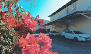 une voiture blanche garée à côté d'un immeuble avec des fleurs rouges dans l'établissement Go Shine Motel, à Pingtung