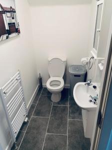 a bathroom with a toilet and a sink at Cliffview Apartment in Arbroath