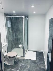 a bathroom with a shower and a toilet at Cliffview Apartment in Arbroath
