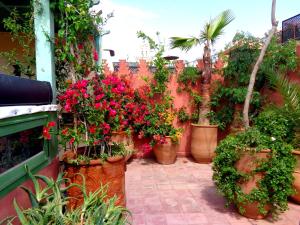 Riad Sesame tesisinin dışında bir bahçe
