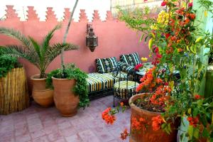 Riad Sesame tesisinin dışında bir bahçe
