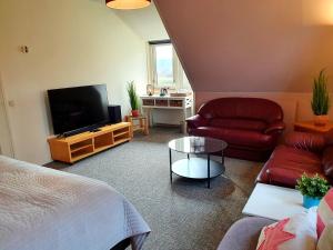 een woonkamer met een slaapbank en een televisie bij Appartement Schoorl in Schoorl