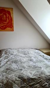 諾德豪森的住宿－Apartement *Harzblick*，卧室内的一张床铺,墙上有绘画作品