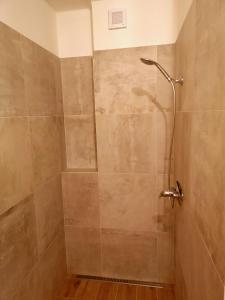 a shower with a glass door in a bathroom at Apartmány na Trojmezí, byt Leopold in Slavonice