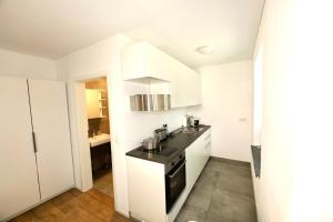 Kuchyň nebo kuchyňský kout v ubytování Frundsberg-Apartment