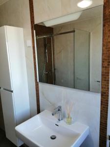 Koupelna v ubytování Apartment Premantura