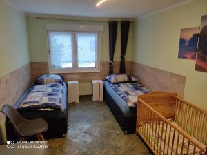 2 Betten in einem Zimmer mit Fenster in der Unterkunft Großzügige Ferienwohnung am Waldesrand im Seenland in Laubusch