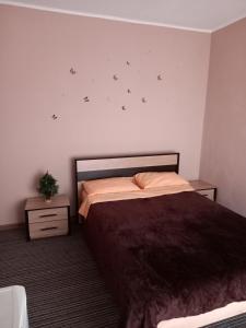 a bedroom with a bed with stars on the wall at На березі Черемошу in Verkhovyna