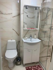 La salle de bains est pourvue de toilettes, d'un lavabo et d'une douche. dans l'établissement Leon Apartment, à Brăila