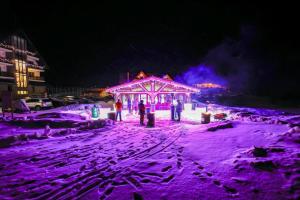 a group of people standing in front of a gazebo at night at Poarta Raiului in Tău Bistra