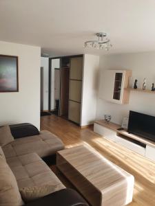een woonkamer met een bank en een tv bij Neringa apartments in Klaipėda