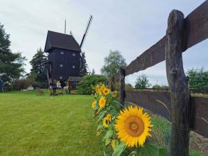 a fence with a bunch of sunflowers next to a barn at WIATRAK in Brenno