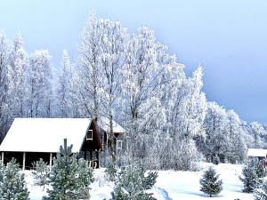 a cabin in a snow covered forest with trees at Baza otdyha Valdajskaja in Valday