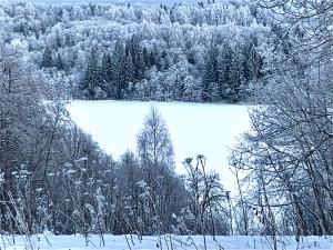 Baza otdyha Valdajskaja durante o inverno