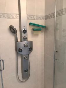 a shower with a shower head in a bathroom at Duplex Blankenberge in Blankenberge