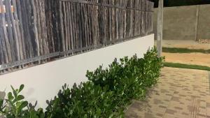 a white wall with a fence and some plants at Flats Solares in São Miguel dos Milagres