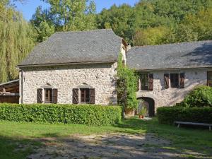 an old stone house with ivy growing on it at Sunny water mill with heated swimming pool in Brandonnet