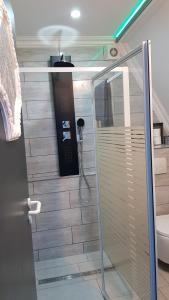 y baño con ducha y puerta de cristal. en Le petit Luxembourg en Montignies-sur-Sambre
