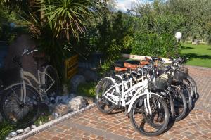Jízda na kole v ubytování Park Hotel Eden nebo okolí