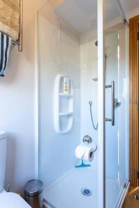 a bathroom with a shower with a sink at Riverside Retreat in Queenstown