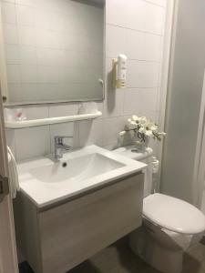 ein Badezimmer mit einem Waschbecken, einem WC und einem Spiegel in der Unterkunft Hotel Kanala in Deba