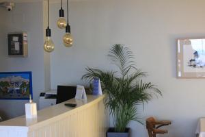 an office with a desk and a potted plant at Hotel Kanala in Deba