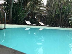 a swimming pool with two chairs and palm trees at Cactus b&b Le casette di Marilena in Pantelleria