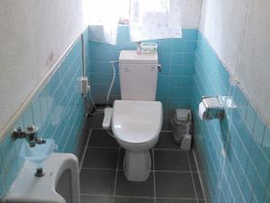 a small bathroom with a toilet and a sink at Guest House Miyakojima in Miyako-jima