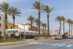 een straat met palmbomen en auto's op de weg bij Casa vacanze santantioco in SantʼAntìoco