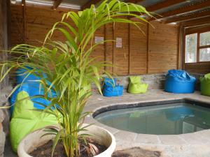Bazén v ubytování Otium Oasis Glamping & Camping nebo v jeho okolí