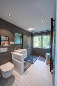 een badkamer met een toilet, een wastafel en een douche bij Le Chalet in Vresse-sur-Semois