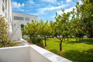 Zahrada ubytování Hotel Torre Oliva