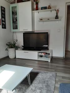 Televízia a/alebo spoločenská miestnosť v ubytovaní Postira apartment by the sea