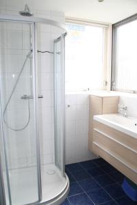 a bathroom with a shower and a sink at Schorrebloem 1 in Nieuwvliet