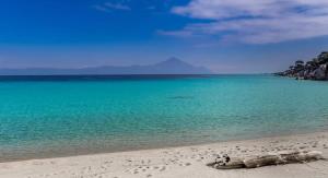 a dead tree laying on a beach near the water at House Chrysoula Mitsokopi in Sarti