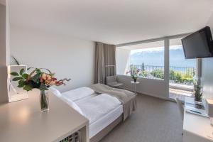 TV a/nebo společenská místnost v ubytování Hotel Lavaux