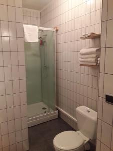 uma casa de banho com um WC e uma cabina de duche em vidro. em Wenceslas Cobergher Appartement II em Boutersem