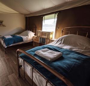 a bedroom with two bunk beds and a window at Midleydown Luxury Glamping in Exeter
