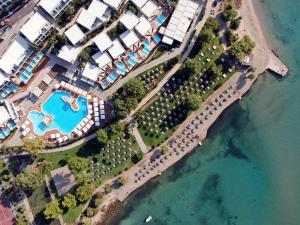 Pohľad z vtáčej perspektívy na ubytovanie Dolce by Wyndham Athens Attica Riviera