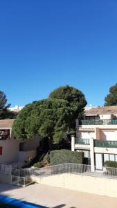 uma grande árvore em frente a um edifício em Comfortable Air Conditioned Studio With Terrace em Bandol