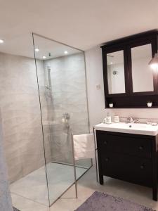 bagno con doccia in vetro e lavandino di Apartment Aduro a Šibenik