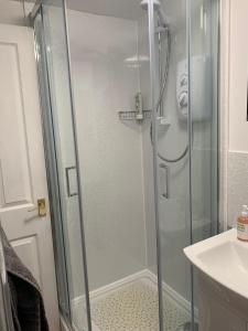 a shower with a glass door next to a sink at The Vintage Inn in Wellington