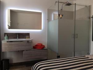 a bathroom with a shower with a sink and a mirror at Sleeping Bio Tea in Thionville