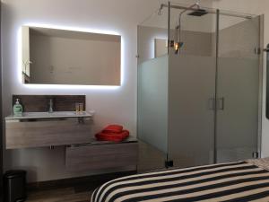 a bathroom with a shower with a sink and a mirror at Sleeping Bio Tea in Thionville +23 photos