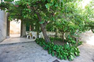 Giardino di LEO APPARTAMENTI con vista panoramica